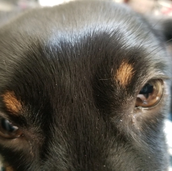 Meet your Posher, Jon - Picture 1 of 1